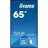 Écran d'affichage dynamique iiyama LH6560UHS-B2AG 65" 4K Ultra HD