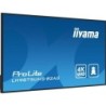 Écran d'affichage dynamique iiyama LH9875UHS-B2AG 97.5" 4K Ultra HD