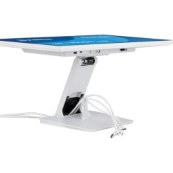 Écran tactile iiyama T2452MSC-W2AG 24" Full HD
