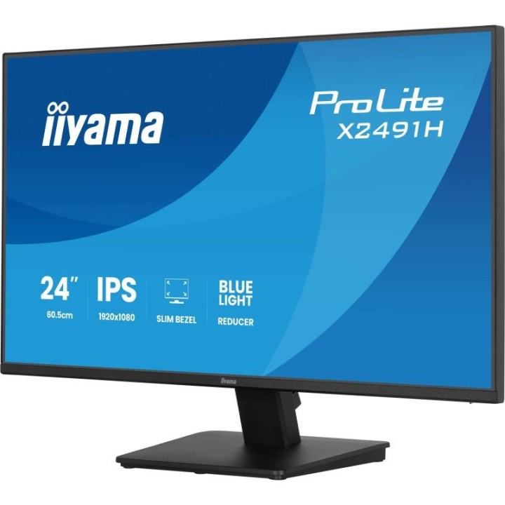 Écran PC iiyama X2491H-B1 24" Full HD