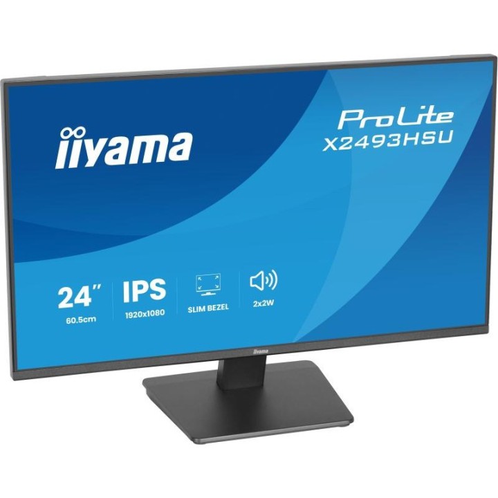 Écran PC iiyama X2493HSU-B1 24" Full HD