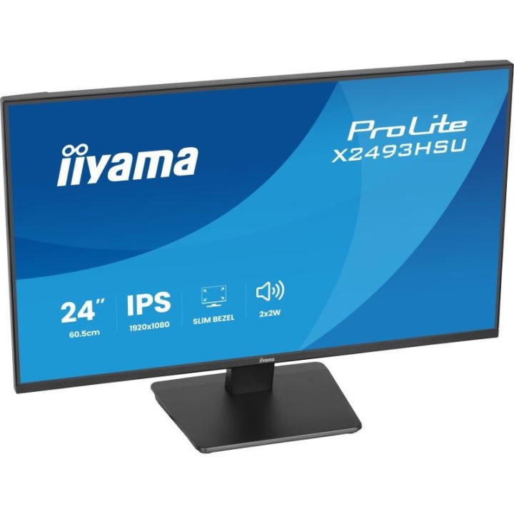 Écran PC iiyama X2493HSU-B1 24" Full HD