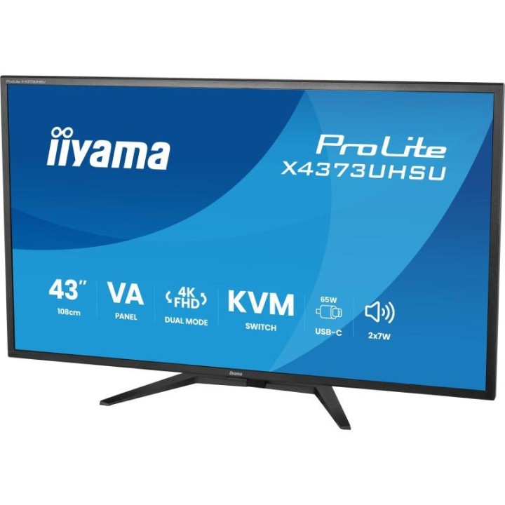 Écran PC iiyama X4373UHSU-B2 43" 4K Ultra HD