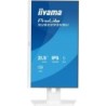 Écran PC iiyama XUB2293HSU-W7 22" Full HD